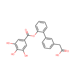 O=C(O)Cc1cccc(-c2ccccc2OC(=O)c2cc(O)c(O)c(O)c2)c1 ZINC000035273912