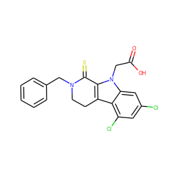 O=C(O)Cn1c2c(c3c(Cl)cc(Cl)cc31)CCN(Cc1ccccc1)C2=S ZINC000073200096