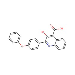 O=C(O)c1c(O)c(-c2ccc(Oc3ccccc3)cc2)nc2ccccc12 ZINC000034305777