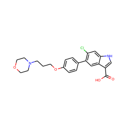 O=C(O)c1c[nH]c2cc(Cl)c(-c3ccc(OCCCN4CCOCC4)cc3)cc12 ZINC000205302853