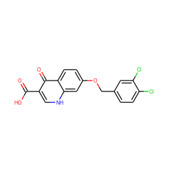 O=C(O)c1c[nH]c2cc(OCc3ccc(Cl)c(Cl)c3)ccc2c1=O ZINC000027703637