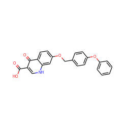 O=C(O)c1c[nH]c2cc(OCc3ccc(Oc4ccccc4)cc3)ccc2c1=O ZINC000027705153