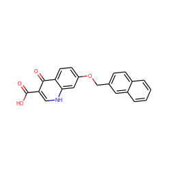 O=C(O)c1c[nH]c2cc(OCc3ccc4ccccc4c3)ccc2c1=O ZINC000027718654