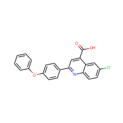 O=C(O)c1cc(-c2ccc(Oc3ccccc3)cc2)nc2ccc(Cl)cc12 ZINC000096270336