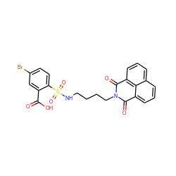 O=C(O)c1cc(Br)ccc1S(=O)(=O)NCCCCN1C(=O)c2cccc3cccc(c23)C1=O ZINC000299825784