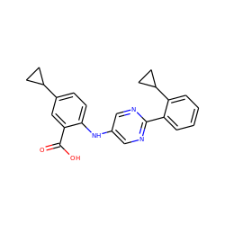 O=C(O)c1cc(C2CC2)ccc1Nc1cnc(-c2ccccc2C2CC2)nc1 ZINC000113898710