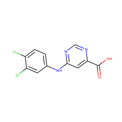 O=C(O)c1cc(Nc2ccc(Cl)c(Cl)c2)ncn1 ZINC000071634444