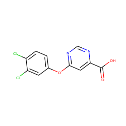 O=C(O)c1cc(Oc2ccc(Cl)c(Cl)c2)ncn1 ZINC000299854685