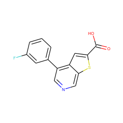 O=C(O)c1cc2c(-c3cccc(F)c3)cncc2s1 ZINC000063539250