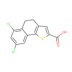 O=C(O)c1cc2c(s1)-c1cc(Cl)cc(Cl)c1CC2 ZINC000653707442