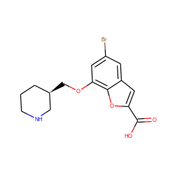 O=C(O)c1cc2cc(Br)cc(OC[C@@H]3CCCNC3)c2o1 ZINC000071295423