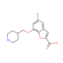 O=C(O)c1cc2cc(Br)cc(OCC3CCNCC3)c2o1 ZINC000071295483