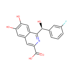 O=C(O)c1cc2cc(O)c(O)cc2c([C@@H](O)c2cccc(F)c2)n1 ZINC000013490160