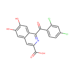 O=C(O)c1cc2cc(O)c(O)cc2c(C(=O)c2ccc(Cl)cc2Cl)n1 ZINC000013470145