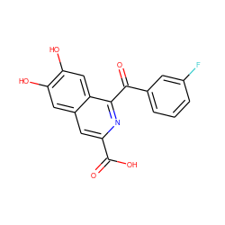 O=C(O)c1cc2cc(O)c(O)cc2c(C(=O)c2cccc(F)c2)n1 ZINC000013490147