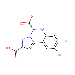 O=C(O)c1cc2n(n1)[C@H](C(=O)O)Nc1cc(Cl)c(Cl)cc1-2 ZINC000027325940