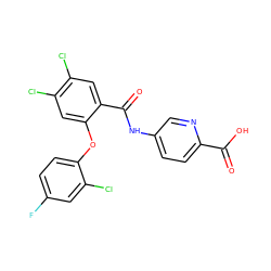 O=C(O)c1ccc(NC(=O)c2cc(Cl)c(Cl)cc2Oc2ccc(F)cc2Cl)cn1 ZINC000143179113