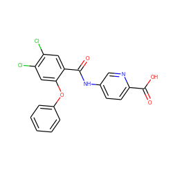 O=C(O)c1ccc(NC(=O)c2cc(Cl)c(Cl)cc2Oc2ccccc2)cn1 ZINC000143206003