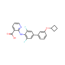 O=C(O)c1cccnc1Nc1c(F)cc(-c2cccc(OC3CCC3)c2)cc1F ZINC000103278708