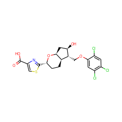 O=C(O)c1csc([C@H]2CC[C@H]3[C@H](C[C@@H](O)[C@@H]3COc3cc(Cl)c(Cl)cc3Cl)O2)n1 ZINC000653700732