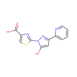 O=C(O)c1csc(-n2nc(-c3ccccn3)cc2O)n1 ZINC001772571825