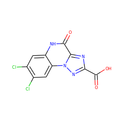 O=C(O)c1nc2c(=O)[nH]c3cc(Cl)c(Cl)cc3n2n1 ZINC000013472607