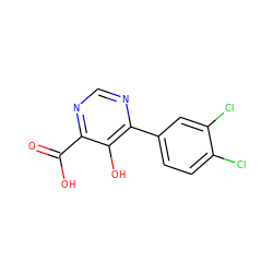 O=C(O)c1ncnc(-c2ccc(Cl)c(Cl)c2)c1O ZINC000299869667