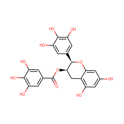 O=C(O[C@@H]1Cc2c(O)cc(O)cc2O[C@@H]1c1cc(O)c(O)c(O)c1)c1cc(O)c(O)c(O)c1 ZINC000003870412