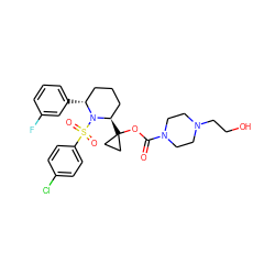 O=C(OC1([C@@H]2CCC[C@@H](c3cccc(F)c3)N2S(=O)(=O)c2ccc(Cl)cc2)CC1)N1CCN(CCO)CC1 ZINC000028879576