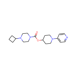 O=C(OC1CCN(c2ccncc2)CC1)N1CCN(C2CCC2)CC1 ZINC000223532288