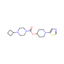 O=C(OC1CCN(c2cncs2)CC1)N1CCN(C2CCC2)CC1 ZINC000223515460