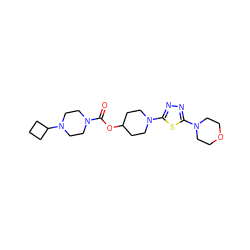 O=C(OC1CCN(c2nnc(N3CCOCC3)s2)CC1)N1CCN(C2CCC2)CC1 ZINC000223518453