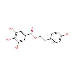 O=C(OCCc1ccc(O)cc1)c1cc(O)c(O)c(O)c1 ZINC000013438135