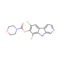 O=C(Oc1c(Cl)cc2c([nH]c3cnccc32)c1Cl)N1CCOCC1 ZINC000100832474