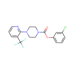 O=C(Oc1cccc(Cl)c1)N1CCN(c2ncccc2C(F)(F)F)CC1 ZINC000049792493