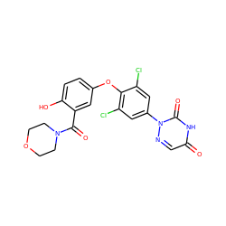 O=C(c1cc(Oc2c(Cl)cc(-n3ncc(=O)[nH]c3=O)cc2Cl)ccc1O)N1CCOCC1 ZINC000013487257