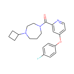 O=C(c1cc(Oc2ccc(F)cc2)ccn1)N1CCCN(C2CCC2)CC1 ZINC000053294337