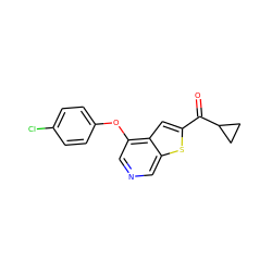 O=C(c1cc2c(Oc3ccc(Cl)cc3)cncc2s1)C1CC1 ZINC000653859579