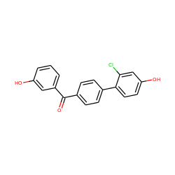 O=C(c1ccc(-c2ccc(O)cc2Cl)cc1)c1cccc(O)c1 ZINC000073198998