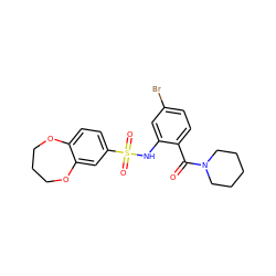 O=C(c1ccc(Br)cc1NS(=O)(=O)c1ccc2c(c1)OCCCO2)N1CCCCC1 ZINC000028969354