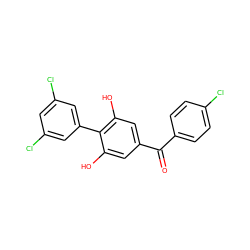 O=C(c1ccc(Cl)cc1)c1cc(O)c(-c2cc(Cl)cc(Cl)c2)c(O)c1 ZINC000473108872