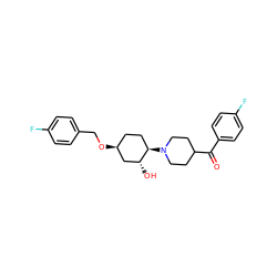 O=C(c1ccc(F)cc1)C1CCN([C@@H]2CC[C@H](OCc3ccc(F)cc3)C[C@H]2O)CC1 ZINC000473099097