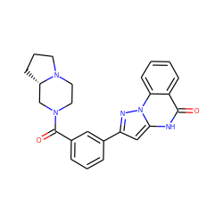 O=C(c1cccc(-c2cc3[nH]c(=O)c4ccccc4n3n2)c1)N1CCN2CCC[C@H]2C1 ZINC000043015217