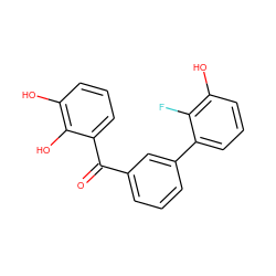 O=C(c1cccc(-c2cccc(O)c2F)c1)c1cccc(O)c1O ZINC001772589970