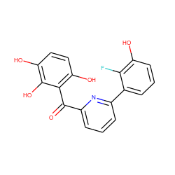 O=C(c1cccc(-c2cccc(O)c2F)n1)c1c(O)ccc(O)c1O ZINC001772644176