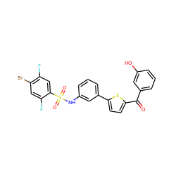 O=C(c1cccc(O)c1)c1ccc(-c2cccc(NS(=O)(=O)c3cc(F)c(Br)cc3F)c2)s1 ZINC000473147438