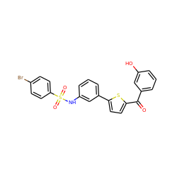 O=C(c1cccc(O)c1)c1ccc(-c2cccc(NS(=O)(=O)c3ccc(Br)cc3)c2)s1 ZINC000473144261