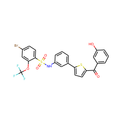 O=C(c1cccc(O)c1)c1ccc(-c2cccc(NS(=O)(=O)c3ccc(Br)cc3OC(F)(F)F)c2)s1 ZINC000112973965