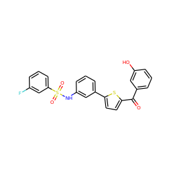 O=C(c1cccc(O)c1)c1ccc(-c2cccc(NS(=O)(=O)c3cccc(F)c3)c2)s1 ZINC000473146909