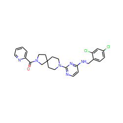 O=C(c1ccccn1)N1CCC2(CCN(c3nccc(NCc4ccc(Cl)cc4Cl)n3)CC2)C1 ZINC000653854057